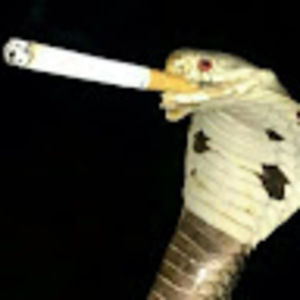 Meet your Posher, Nicolas